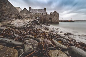 Photo: Steve Birrell