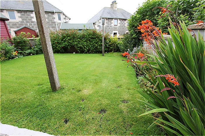 Rear garden area