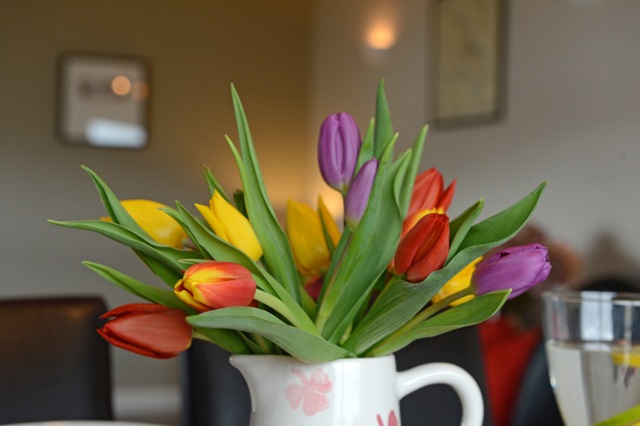 Tulips